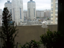P1000692