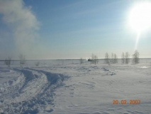 DSCN1923_500x375