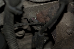 055.Датчик температуры 01