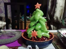IMG-20181231-WA0013