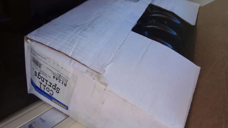 Moog81244