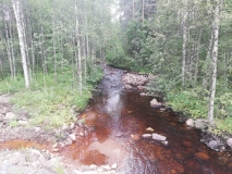 IMG-20190809-WA0024