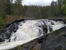 IMG-20190809-WA0049