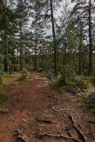 DSC00585-С1-1024