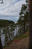 DSC00572-С1-1024
