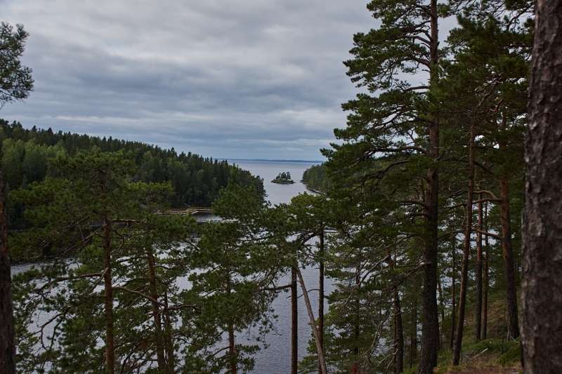 DSC00571-С1-1024