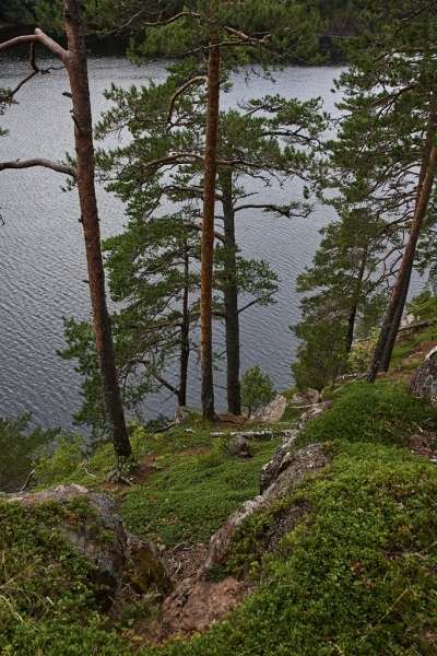 DSC00566-С1-1024