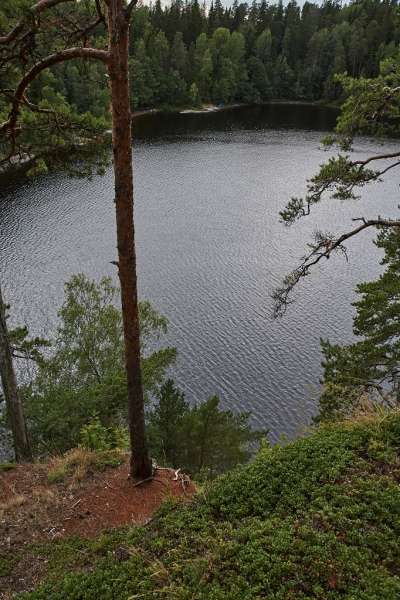 DSC00564-С1-1024