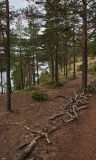 DSC00559-С1-1024