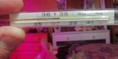 IMG-20191119-WA0014