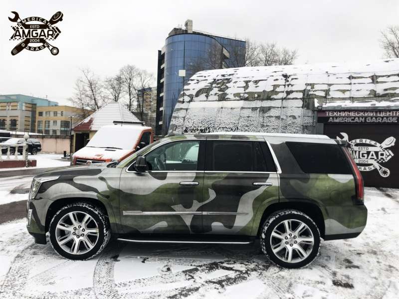 1. Необычный представитель