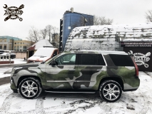 1. Необычный представитель