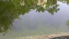 0c7426587baaaaccaa5d5122a0c0b09c