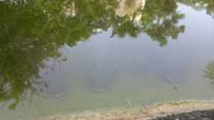 0c7426587baaaaccaa5d5122a0c0b09c