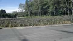 2bf8eb79adf4a5da0de5aaa255b426d1