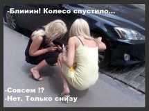 5bde95bc47c6929d9a53ed8007fc2d49