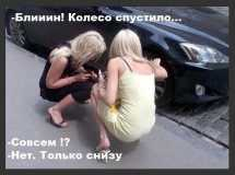 5bde95bc47c6929d9a53ed8007fc2d49