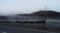8a0ca106f888a90a31207eb203d22075