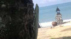 9d762a0dc09a292656eff1e0ce04b95d