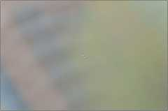 e6bac44837fd902a807c9c8eef13cc11