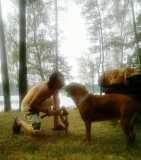 fb01f7562e3b89c3418cf2de0a61c3b0