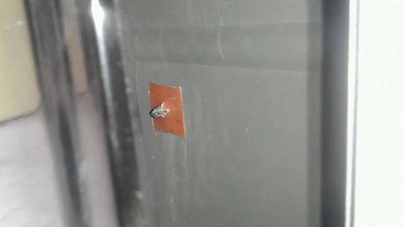 IMAG0559-1