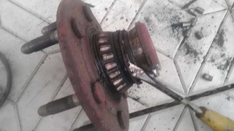 IMAG0663-1
