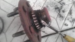 IMAG0663-1