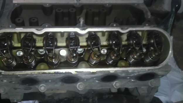 IMAG0781-1