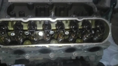 IMAG0781-1